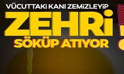 VÜCUTTAKİ KANI TEMİZLEYİP ZEHRİ SÖKÜP ATIYOR!