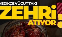 YEDİKÇE VÜCUTTAKİ ZEHRİ ATIYOR!