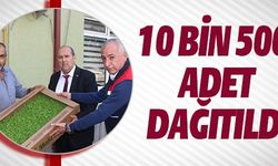 100 BİN 500 ADET DAĞITILDI