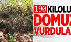 190 KİLOLUK DOMUZ VURDULAR