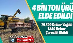 4 BİN TON ÜRÜN ELDE EDİLDİ
