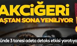 AKCİĞERİ BAŞTAN SONA YENİLİYOR!