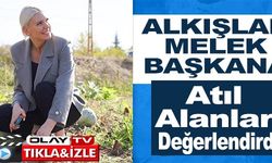 ALKIŞLAR MELEK BAŞKANA