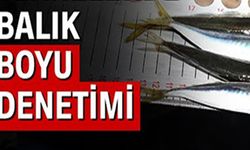 BALIK BOYU DENETİMİ