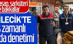 BİLECİK'TE EŞ ZAMANLI GIDA DENETİMİ