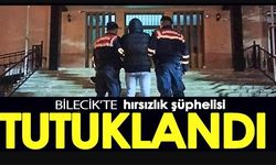 BİLECİK'TE HIRSIZLIK ŞÜPHELİSİ TUTUKLANDI