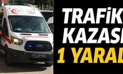 BİLECİK’TE TRAFİK KAZASI: 1 YARALI