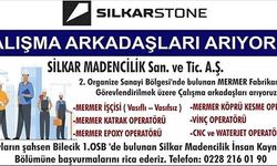 ÇALIŞMA ARKADAŞLARI ARIYORUZ