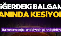 CİĞERDEKİ BALGAMI ANINDA KESİYOR