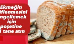 Ekmeğin küflenmesini engellemek için poşetine 1 tane atın