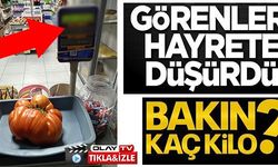 GÖRENLERİ HAYRETE DÜŞÜRDÜ