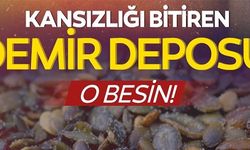 KANSIZLIĞI BİTİREN DEMİR DEPOSU O BESİN!