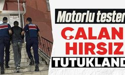 MOTORLU TESTERE ÇALAN HIRSIZ TUTUKLANDI