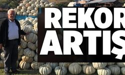 REKOR ARTIŞ