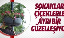 SOKAKLAR ÇİÇEKLERLE AYRI BİR GÜZELLEŞİYOR