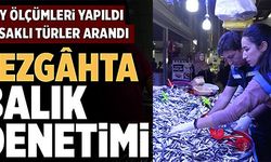 TEZGAHTA BALIK DENETİMİ