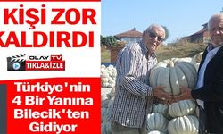 TÜRKİYE'NİN 4 BİR YANINA BİLECİK'TEN GİDİYOR