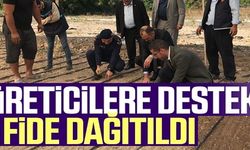 ÜRETİCİLERE DESTEK FİDE DAĞITILDI