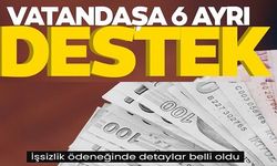 VATANDAŞA 6 AYRI DESTEK