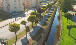 YENİ YÜRÜYÜŞ YOLU VE KAMELYALAR YAPILDI