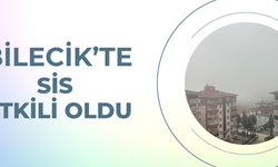 BİLECİK'TE SİS ETKİLİ OLDU