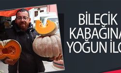 BİLECİK KABAĞINA YOĞUN İLGİ