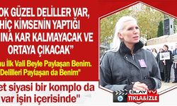 ''EVET SİYASİ BİR KOMPLO DA VAR İŞİN İÇERİSİNDE''