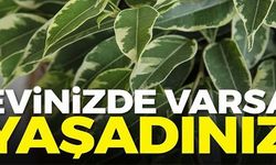 EVİNİZDE VARSA YAŞADINIZ