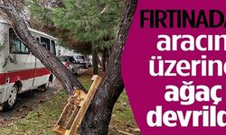 FIRTINADA ARACIN ÜZERİNE AĞAÇ DEVRİLDİ