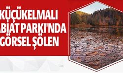 KÜÇÜKELMALI TABİAT PARKI'NDA GÖRSEL ŞÖLEN
