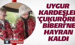 UYGUR KARDEŞLER ÇUKURÖREN BİBERİNE HAYRAN KALDI