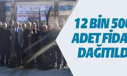 12 BİN 500 ADET FİDAN DAĞITILDI