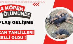 14 KÖPEK ÖLÜMÜNDE FLAŞ GELİŞME