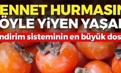 CENNET HURMASINI BÖYLE YİYEN YAŞADI