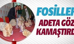 FOSİLLER ADETA GÖZ KAMAŞTIRDI