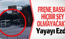 FRENE BASSA HİÇBİR ŞEY OLMAYACAKTI