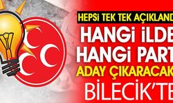 HANGİ İLDE HANGİ PARTİ ADAY ÇIKARACAK?