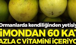 LİMONDAN 60 KAT FAZLA C VİTAMİNİ İÇERİYOR