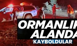 ORMANLIK ALANDA KAYBOLDULAR