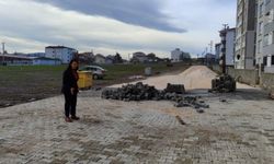 PAZARYERİ'NDE ÇALIŞMALAR HIZLA DEVAM EDİYOR
