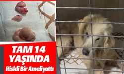 TAM 14 YAŞINDA RİSKLİ BİR AMELİYATTI