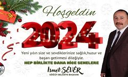 YENİ YIL BOYUNCA SEVGİ, MUTLULUK, HUZUR VE SAĞLIK, HAYATINDAN EKSİK OLMASIN. MUTLU SENELER