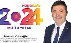 YENİ YIL BOYUNCA SEVGİ, MUTLULUK, HUZUR VE SAĞLIK, HAYATINDAN EKSİK OLMASIN. MUTLU SENELER
