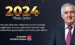 YENİ YIL BOYUNCA SEVGİ, MUTLULUK, HUZUR VE SAĞLIK, HAYATINDAN EKSİK OLMASIN. MUTLU SENELER