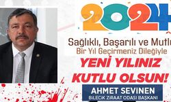YENİ YIL BOYUNCA SEVGİ, MUTLULUK, HUZUR VE SAĞLIK, HAYATINDAN EKSİK OLMASIN. MUTLU SENELER