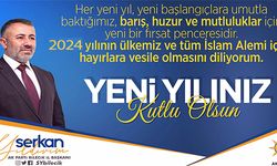 YENİ YIL BOYUNCA SEVGİ, MUTLULUK, HUZUR VE SAĞLIK, HAYATINDAN EKSİK OLMASIN. MUTLU SENELER