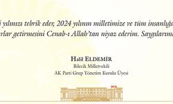 YENİ YIL BOYUNCA SEVGİ, MUTLULUK, HUZUR VE SAĞLIK, HAYATINDAN EKSİK OLMASIN. MUTLU SENELER