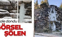 ŞELALE DONDU