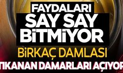 FAYDALARI SAY SAY BİTMİYOR