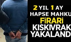 FİRAR EDEN ŞAHIS YAKALANDI